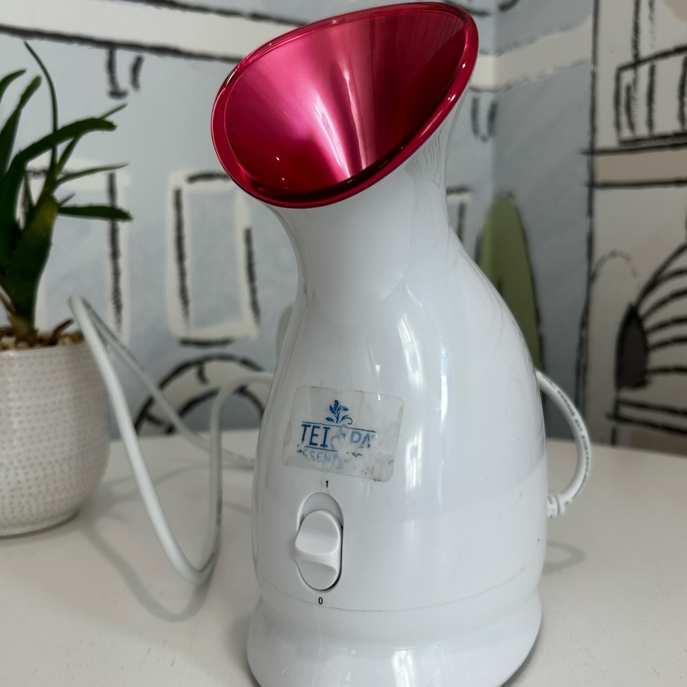 Face Steamer